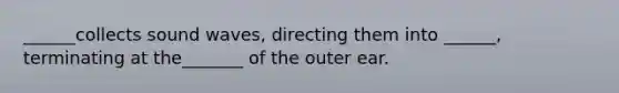 ______collects sound waves, directing them into ______, terminating at the_______ of the outer ear.