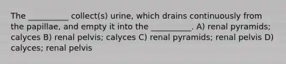 The __________ collect(s) urine, which drains continuously from the papillae, and empty it into the __________. A) renal pyramids; calyces B) renal pelvis; calyces C) renal pyramids; renal pelvis D) calyces; renal pelvis