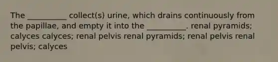 The __________ collect(s) urine, which drains continuously from the papillae, and empty it into the __________. renal pyramids; calyces calyces; renal pelvis renal pyramids; renal pelvis renal pelvis; calyces