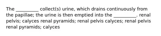 The __________ collect(s) urine, which drains continuously from the papillae; the urine is then emptied into the __________. renal pelvis; calyces renal pyramids; renal pelvis calyces; renal pelvis renal pyramids; calyces