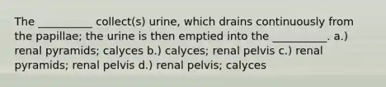 The __________ collect(s) urine, which drains continuously from the papillae; the urine is then emptied into the __________. a.) renal pyramids; calyces b.) calyces; renal pelvis c.) renal pyramids; renal pelvis d.) renal pelvis; calyces