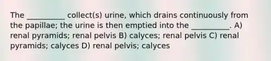 The __________ collect(s) urine, which drains continuously from the papillae; the urine is then emptied into the __________. A) renal pyramids; renal pelvis B) calyces; renal pelvis C) renal pyramids; calyces D) renal pelvis; calyces