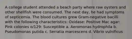 A college student attended a beach party where raw oysters and other shellfish were consumed. The next day, he had symptoms of septicemia. The blood cultures grew Gram-negative bacilli with the following characteristics: Oxidase: Positive Mac agar: Pink colonies o/129: Susceptible a. Aeromonas hydrophila b. Pseudomonas putida c. Serratia marcescens d. Vibrio vulnificus