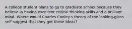 A college student plans to go to graduate school because they believe in having excellent critical thinking skills and a brilliant mind. Where would Charles Cooley's theory of the looking-glass self suggest that they got these ideas?