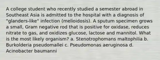 A college student who recently studied a semester abroad in Southeast Asia is admitted to the hospital with a diagnosis of "glanders-like" infection (melioidosis). A sputum specimen grows a small, Gram negative rod that is positive for oxidase, reduces nitrate to gas, and oxidizes glucose, lactose and mannitol. What is the most likely organism? a. Stenotrophomans maltophilia b. Burkolderia pseudomallei c. Pseudomonas aeruginosa d. Acinobacter baumanni