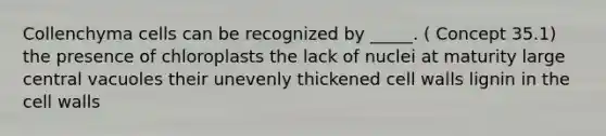 Collenchyma cells can be recognized by _____. ( Concept 35.1) the presence of chloroplasts the lack of nuclei at maturity large central vacuoles their unevenly thickened cell walls lignin in the cell walls