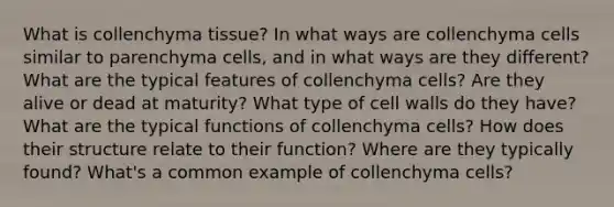 What is collenchyma tissue? In what ways are collenchyma cells similar to parenchyma cells, and in what ways are they different? What are the typical features of collenchyma cells? Are they alive or dead at maturity? What type of cell walls do they have? What are the typical functions of collenchyma cells? How does their structure relate to their function? Where are they typically found? What's a common example of collenchyma cells?