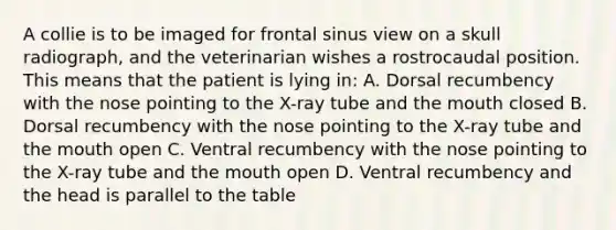 A collie is to be imaged for frontal sinus view on a skull radiograph, and the veterinarian wishes a rostrocaudal position. This means that the patient is lying in: A. Dorsal recumbency with the nose pointing to the X-ray tube and the mouth closed B. Dorsal recumbency with the nose pointing to the X-ray tube and the mouth open C. Ventral recumbency with the nose pointing to the X-ray tube and the mouth open D. Ventral recumbency and the head is parallel to the table