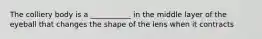The colliery body is a ___________ in the middle layer of the eyeball that changes the shape of the lens when it contracts