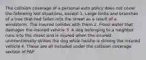 The collision coverage of a personal auto policy does not cover the following lost situations, except 1. Large limbs and branches of a tree that had fallen into the street as a result of a windstorm. The insured collides with them 2. Flood water that damages the insured vehicle 3. A dog belonging to a neighbor runs into the street and is injured when the insured unintentionally strikes the dog while he/she is driving the insured vehicle 4. These are all included under the collision coverage section of PAP