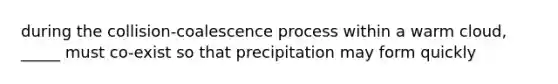 during the collision-coalescence process within a warm cloud, _____ must co-exist so that precipitation may form quickly