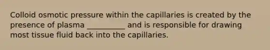 Colloid osmotic pressure within the capillaries is created by the presence of plasma __________ and is responsible for drawing most tissue fluid back into the capillaries.