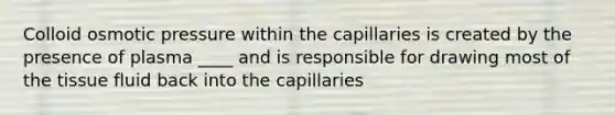 Colloid osmotic pressure within the capillaries is created by the presence of plasma ____ and is responsible for drawing most of the tissue fluid back into the capillaries