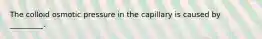 The colloid osmotic pressure in the capillary is caused by _________.