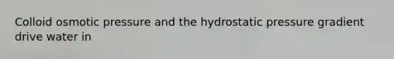 Colloid osmotic pressure and the hydrostatic pressure gradient drive water in