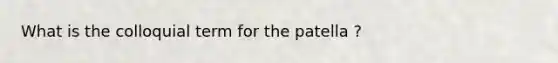 What is the colloquial term for the patella ?