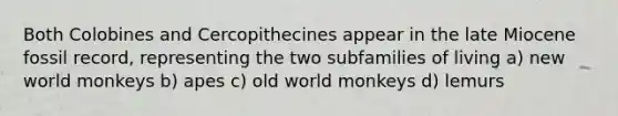 Both Colobines and Cercopithecines appear in the late Miocene fossil record, representing the two subfamilies of living a) new world monkeys b) apes c) old world monkeys d) lemurs