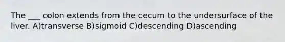 The ___ colon extends from the cecum to the undersurface of the liver. A)transverse B)sigmoid C)descending D)ascending