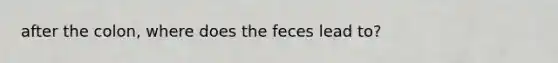after the colon, where does the feces lead to?