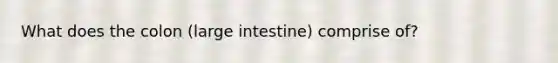 What does the colon (large intestine) comprise of?