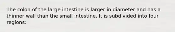 The colon of the <a href='https://www.questionai.com/knowledge/kGQjby07OK-large-intestine' class='anchor-knowledge'>large intestine</a> is larger in diameter and has a thinner wall than <a href='https://www.questionai.com/knowledge/kt623fh5xn-the-small-intestine' class='anchor-knowledge'>the small intestine</a>. It is subdivided into four regions: