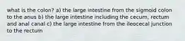 what is the colon? a) the large intestine from the sigmoid colon to the anus b) the large intestine including the cecum, rectum and anal canal c) the large intestine from the ileocecal junction to the rectum