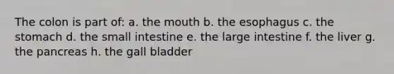 The colon is part of: a. <a href='https://www.questionai.com/knowledge/krBoWYDU6j-the-mouth' class='anchor-knowledge'>the mouth</a> b. <a href='https://www.questionai.com/knowledge/kSjVhaa9qF-the-esophagus' class='anchor-knowledge'>the esophagus</a> c. <a href='https://www.questionai.com/knowledge/kLccSGjkt8-the-stomach' class='anchor-knowledge'>the stomach</a> d. the small intestine e. the large intestine f. the liver g. the pancreas h. the gall bladder