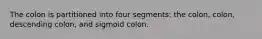 The colon is partitioned into four segments: the colon, colon, descending colon, and sigmoid colon.