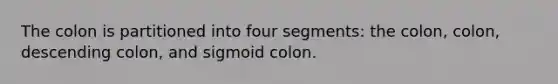 The colon is partitioned into four segments: the colon, colon, descending colon, and sigmoid colon.