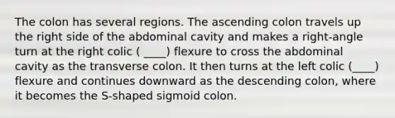 The colon has several regions. The ascending colon travels up the right side of the abdominal cavity and makes a right-angle turn at the right colic ( ____) flexure to cross the abdominal cavity as the transverse colon. It then turns at the left colic (____) flexure and continues downward as the descending colon, where it becomes the S-shaped sigmoid colon.