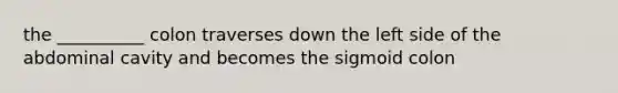 the __________ colon traverses down the left side of the abdominal cavity and becomes the sigmoid colon