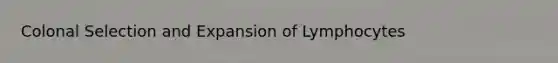 Colonal Selection and Expansion of Lymphocytes