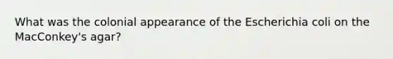 What was the colonial appearance of the Escherichia coli on the MacConkey's agar?
