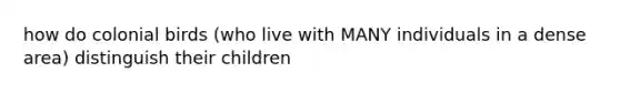 how do colonial birds (who live with MANY individuals in a dense area) distinguish their children