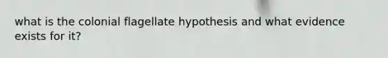 what is the colonial flagellate hypothesis and what evidence exists for it?