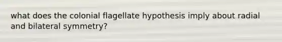 what does the colonial flagellate hypothesis imply about radial and bilateral symmetry?