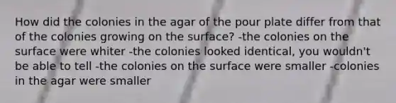 How did the colonies in the agar of the pour plate differ from that of the colonies growing on the surface? -the colonies on the surface were whiter -the colonies looked identical, you wouldn't be able to tell -the colonies on the surface were smaller -colonies in the agar were smaller