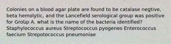 Colonies on a blood agar plate are found to be catalase negtive, beta hemolytic, and the Lancefield serological group was positive for Group A. what is the name of the bacteria identified? Staphylococcus aureus Streptococcus pyogenes Enterococcus faecium Strepotococcus pneumoniae