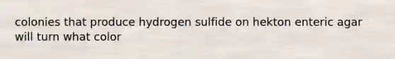 colonies that produce hydrogen sulfide on hekton enteric agar will turn what color