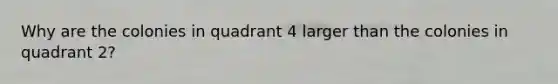 Why are the colonies in quadrant 4 larger than the colonies in quadrant 2?