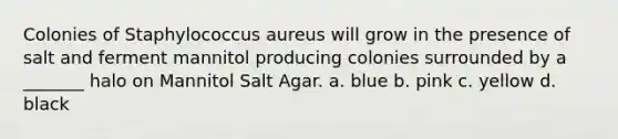 Colonies of Staphylococcus aureus will grow in the presence of salt and ferment mannitol producing colonies surrounded by a _______ halo on Mannitol Salt Agar. a. blue b. pink c. yellow d. black