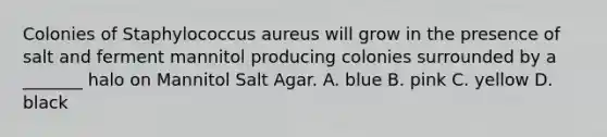 Colonies of Staphylococcus aureus will grow in the presence of salt and ferment mannitol producing colonies surrounded by a _______ halo on Mannitol Salt Agar. A. blue B. pink C. yellow D. black