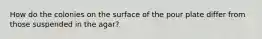 How do the colonies on the surface of the pour plate differ from those suspended in the agar?