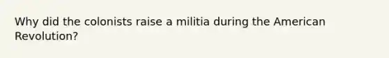 Why did the colonists raise a militia during the American Revolution?