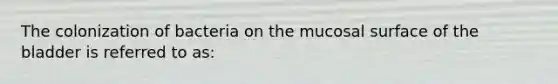 The colonization of bacteria on the mucosal surface of the bladder is referred to as: