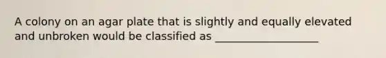 A colony on an agar plate that is slightly and equally elevated and unbroken would be classified as ___________________