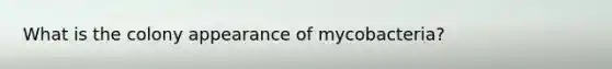 What is the colony appearance of mycobacteria?