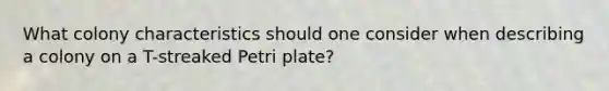 What colony characteristics should one consider when describing a colony on a T-streaked Petri plate?