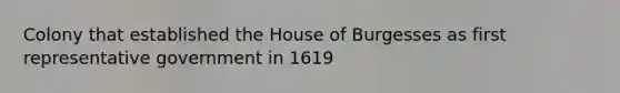 Colony that established the House of Burgesses as first representative government in 1619