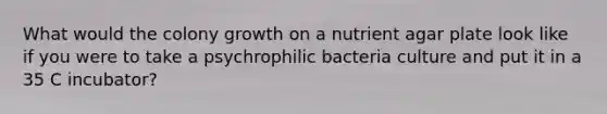 What would the colony growth on a nutrient agar plate look like if you were to take a psychrophilic bacteria culture and put it in a 35 C incubator?